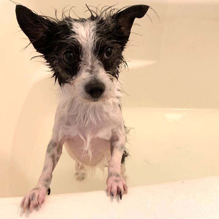 14344a08 af7a 41f1 9f02 7e77a905deb6 1586079802355