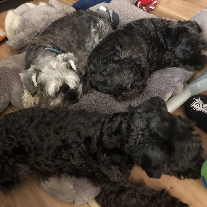 143462b1 9ec5 44e7 b12d 11c684210fb1 1561602577989