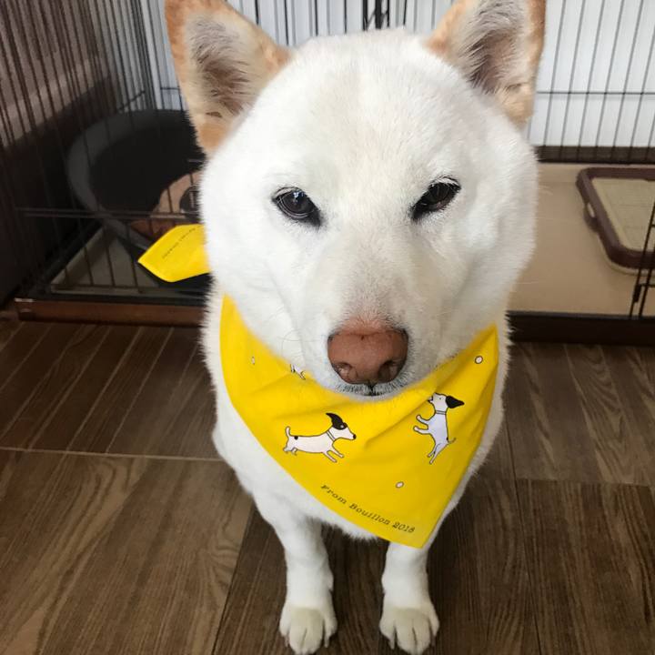 14346b45 6838 47ef 85db 432917c947a5 1524118775352