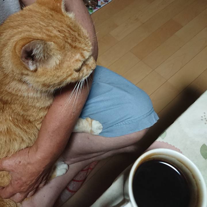 14346f45 39e5 4978 bd60 5b37f89dd261 1597440358884