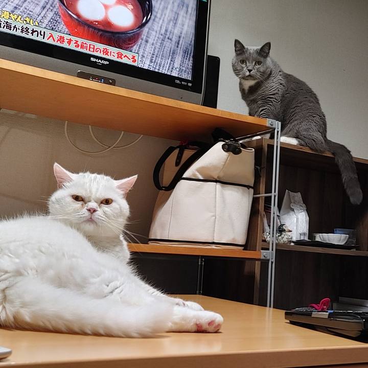 14348c5a 023e 40aa ae90 16e63f8ab557 1657631587922