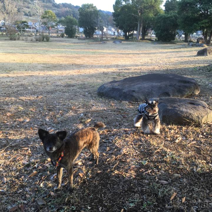 1434ce97 9629 4668 9b3d 0e7638ad3d4f 1545648006977