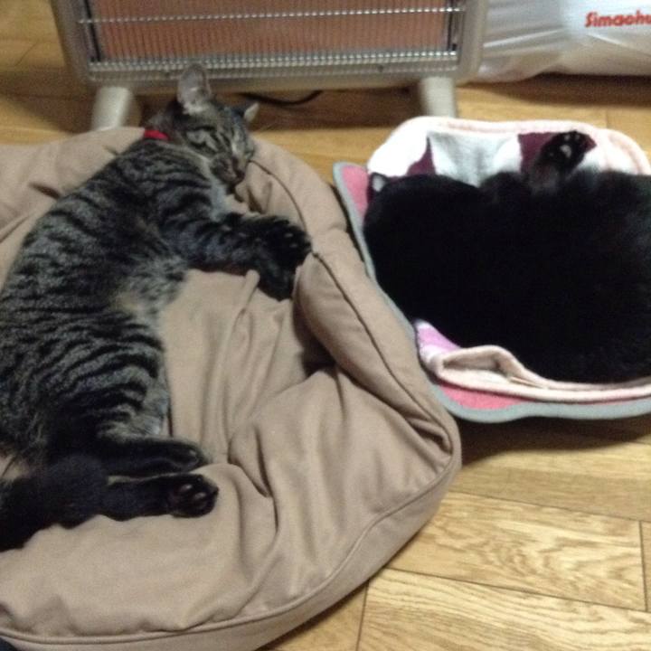 14352b86 daad 49ba 96c2 eb52879ea8d6 1538289783249