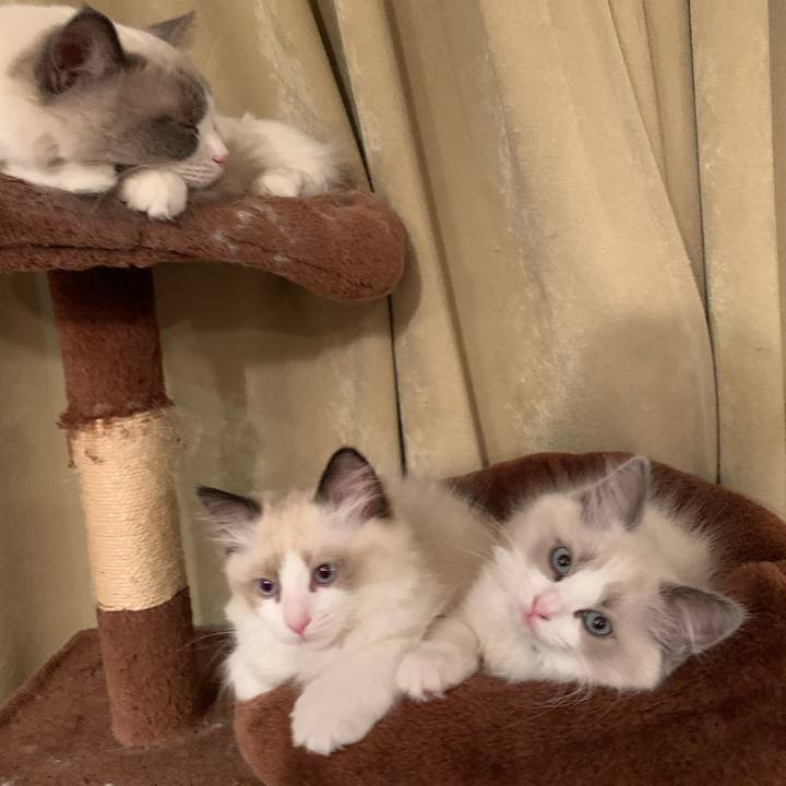 14352b86 fad2 4640 a4ea 469ec017c2bf 1644398775463