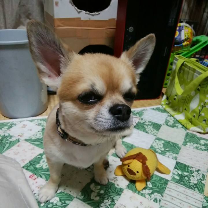 14353de3 43a4 4159 a2b6 920d1863a405 1541592582505