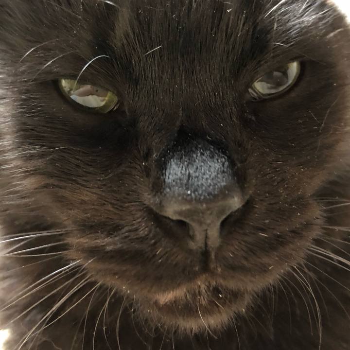 143583d5 ae3c 4751 8f10 d4e4a908f5f0 1592601478572