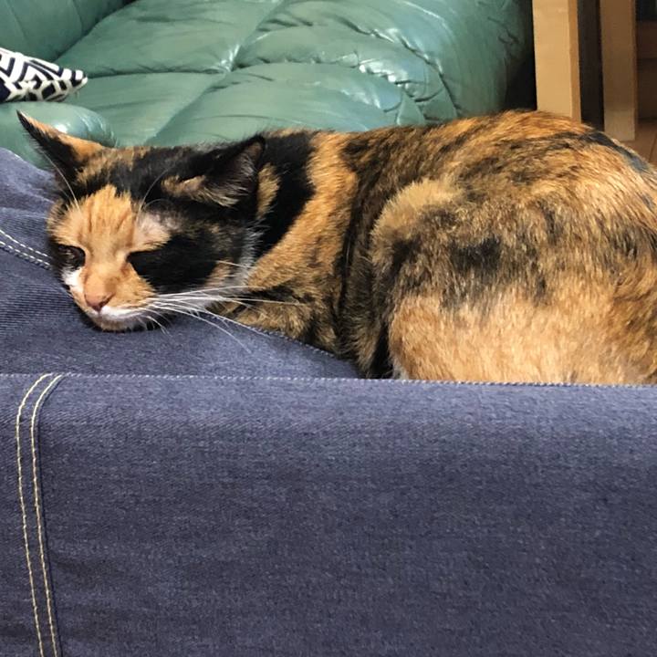 1435a70b d811 4d59 8967 4a1448579eb5 1535982252460