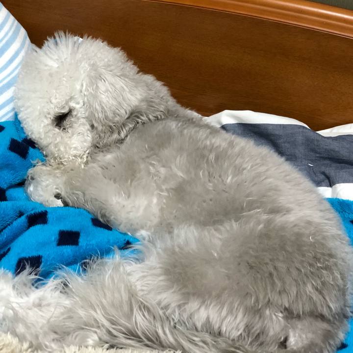 1435af89 bac9 483b b940 ff80b22343b8 1588597653048