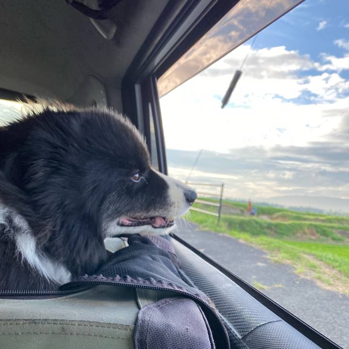 1435f55f 419b 4c11 913e 3b6a3d6ad182 1690927186885