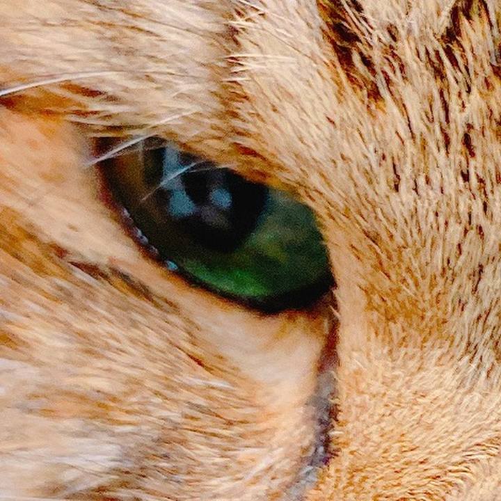 14361ec1 ee98 47b3 807e 67f42ac5d83f 1642730469861