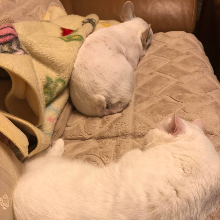 143626a6 373e 42ee 8ec4 176ee5a092da 1679835939068