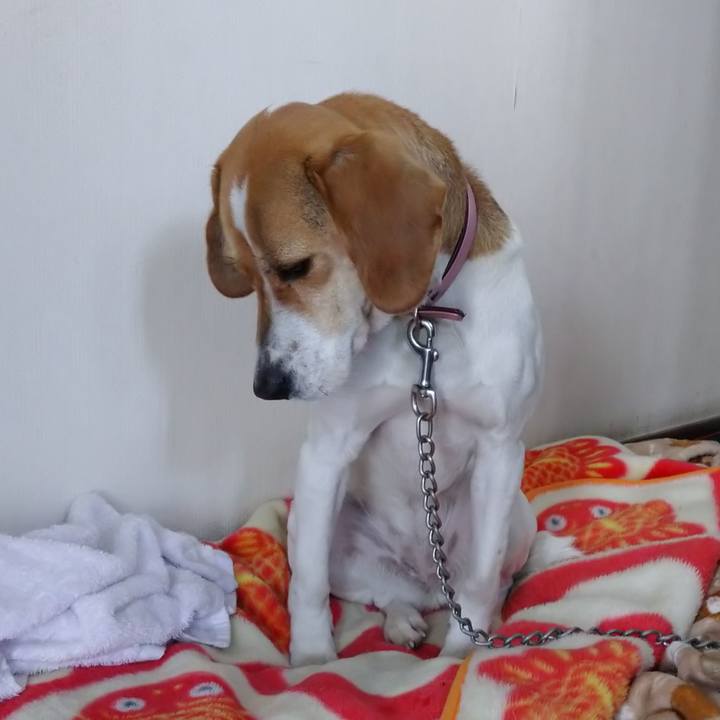 14364430 d960 4cc3 a973 daf79d40a590 1583376308958