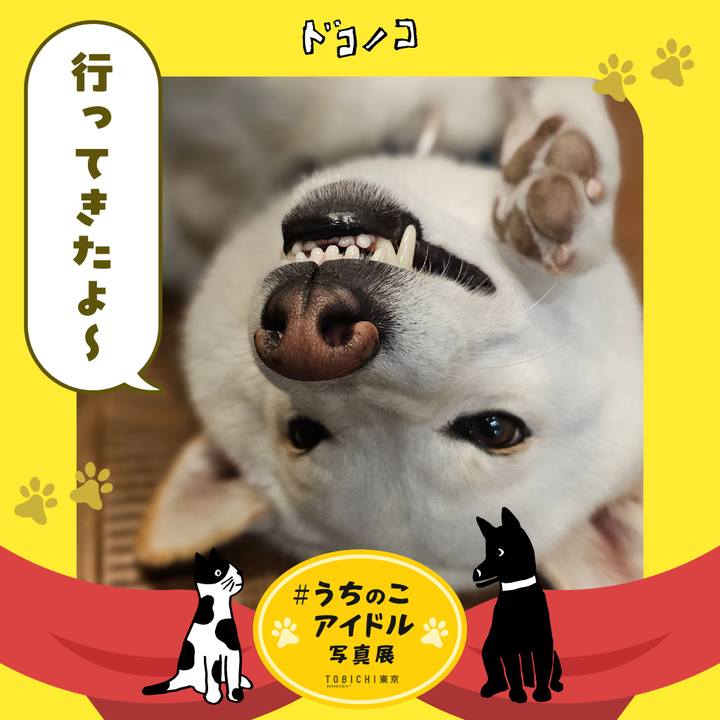 1436475a ca1d 44f6 a021 c87742247fbf 1761749888138