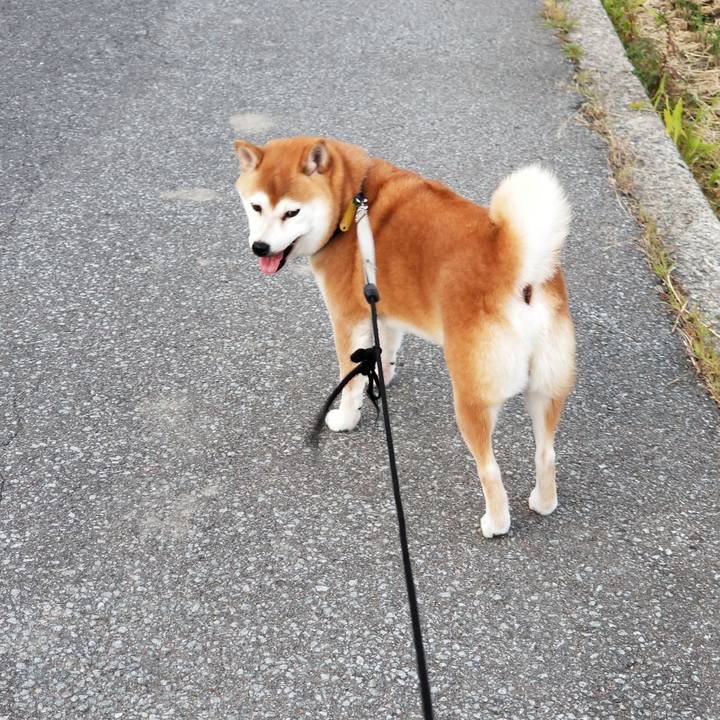 14365e84 11d7 4d67 89d4 d48adc4d3674 1570262830197