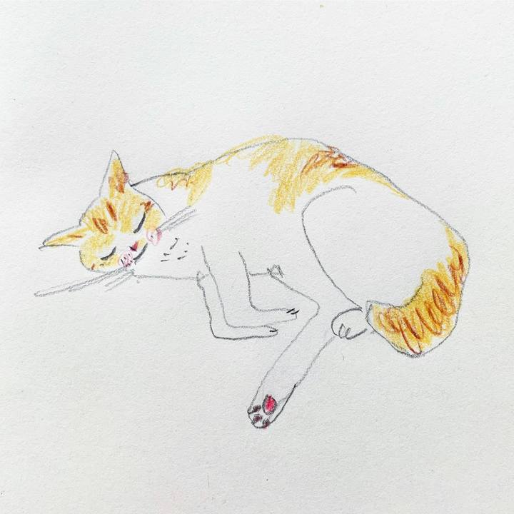 1436ab5a 2a73 40b2 adfb 8a22f120f11c 1592612436849