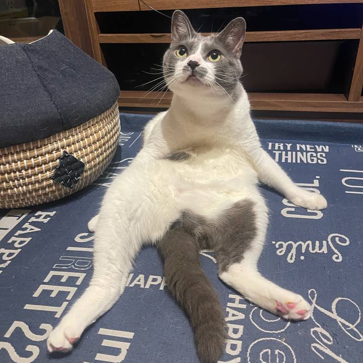 1436cac1 78f2 4487 a876 b006dbe175c3 1718899317510