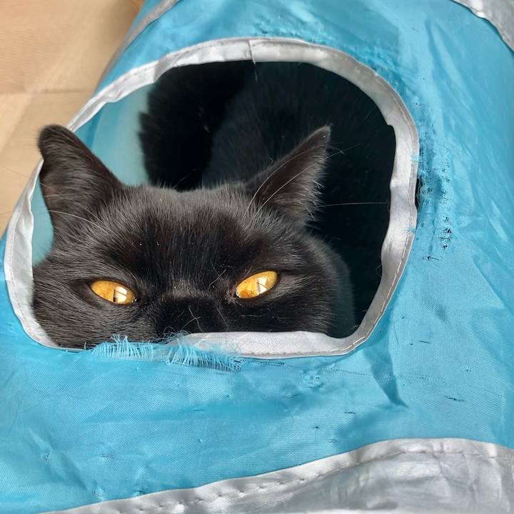 1436cd70 f504 4f9f a88a 5aab9de65b2d 1638949233822