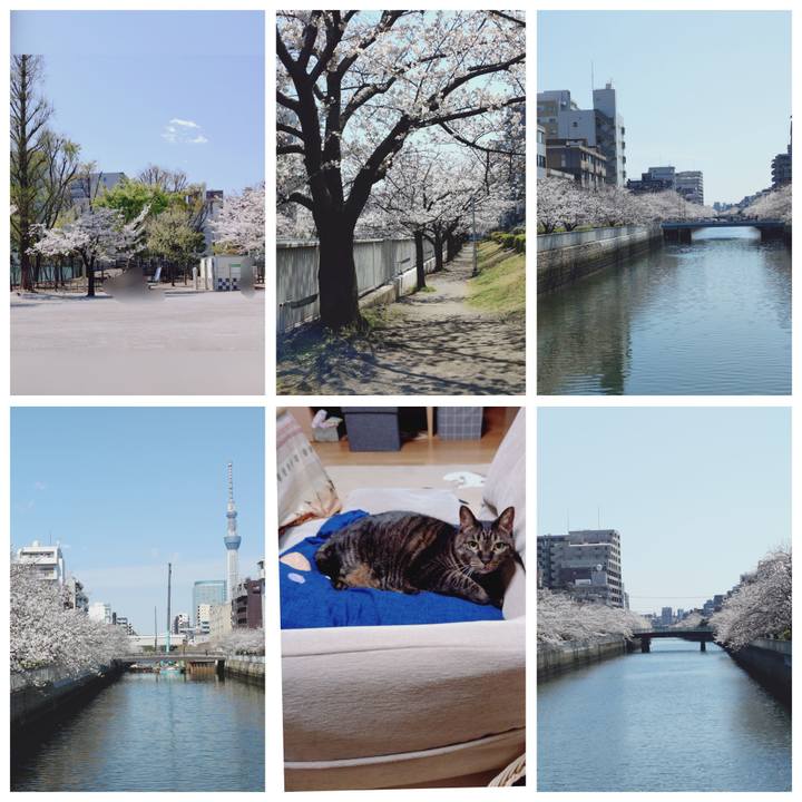 1436dc8d f699 4276 adc0 567ac4a50f62 1775190683181