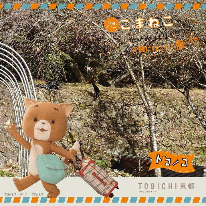 1436de77 caba 4d3f ac7e cad7c0c10e09 1740229761142