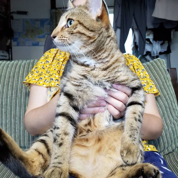 14371b71 06e5 4bda 8221 e71dd35a5e72 1599735039676