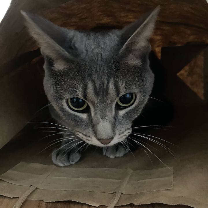 14371b9f 5319 4833 9532 ff7a13235231 1629209123216