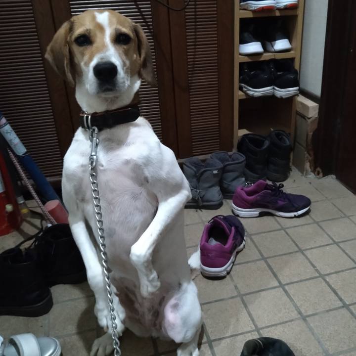 14373b38 d4a6 4639 a67e 533780806324 1632305715578