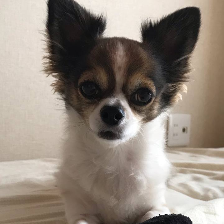 14376bf7 88b7 414c 8df6 eeb750ebed7f 1539782675825