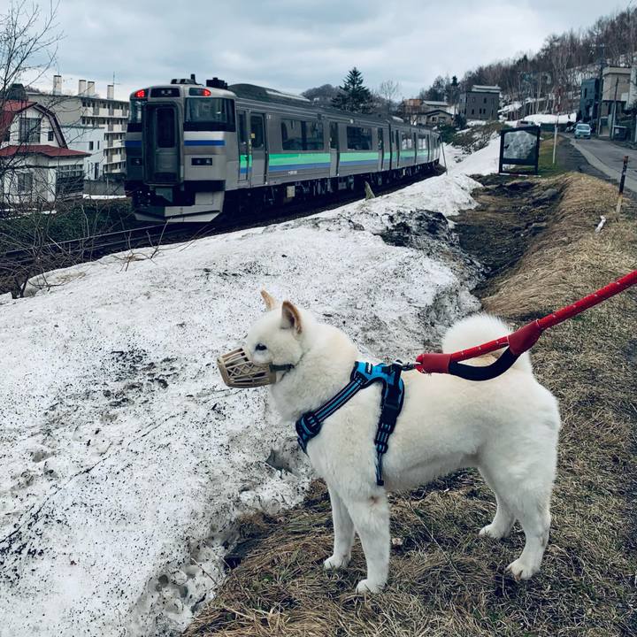 143776fe d1b6 4dc3 9fe5 f23f65118f48 1680302749063