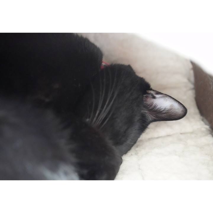 14379916 052d 4d3e b319 5cd3b545aa01 1576540929598