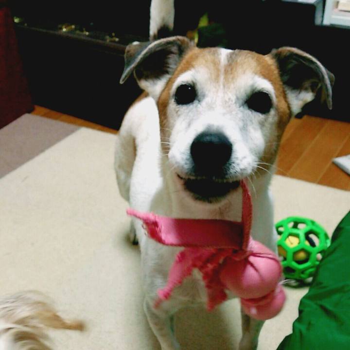 1437a1e3 3c2c 4582 92d5 a92ab6d1e40c 1508756917907