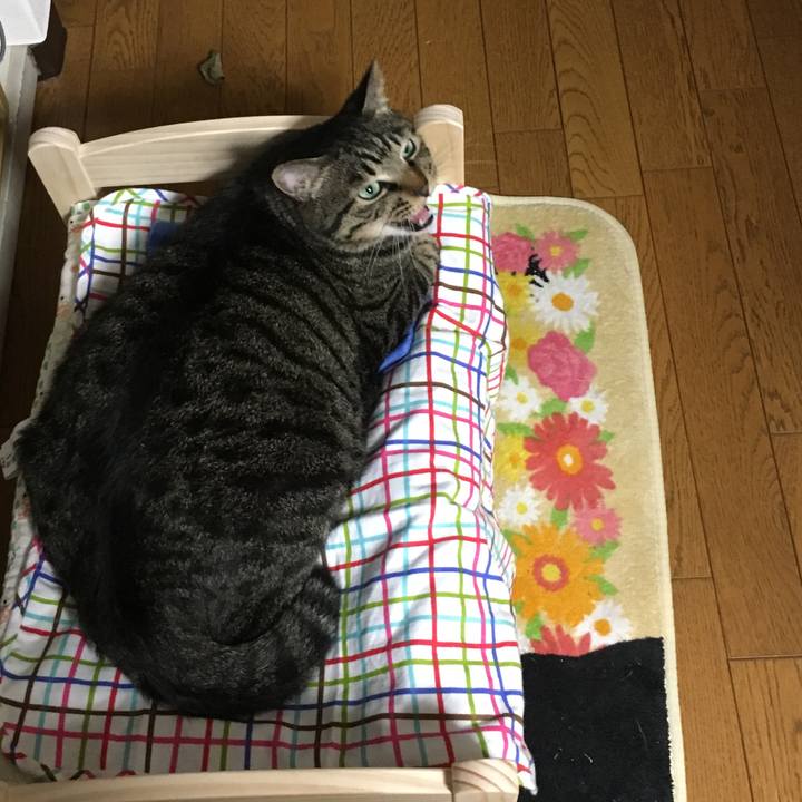 1437bddd fabb 432b b73f c82aee41f537 1508415277446