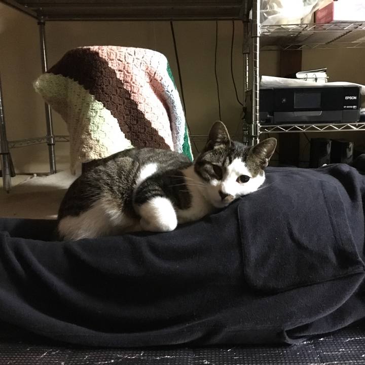 1437ddb0 53cb 444f b09a 75ff3f5d8627 1520257997520