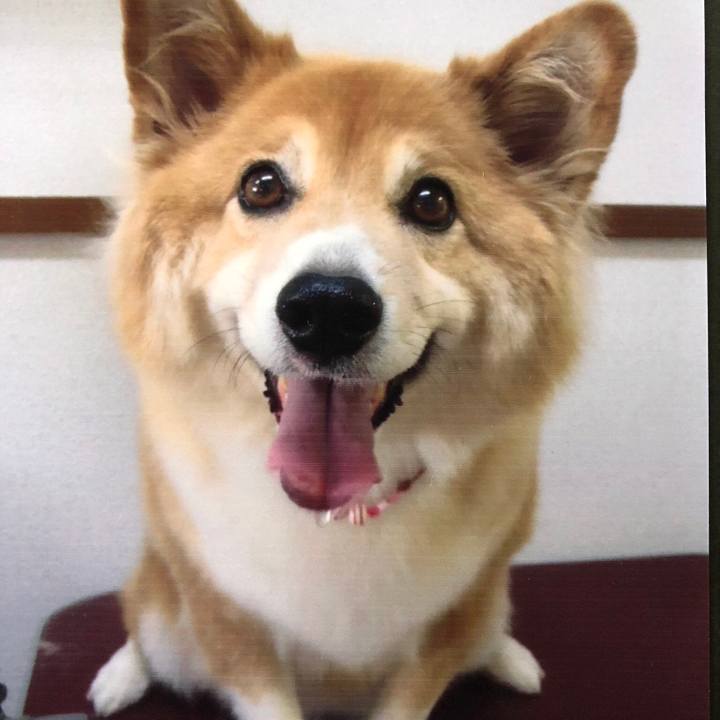 14380082 25ad 473f a820 3cc2444781d7 1536971216453