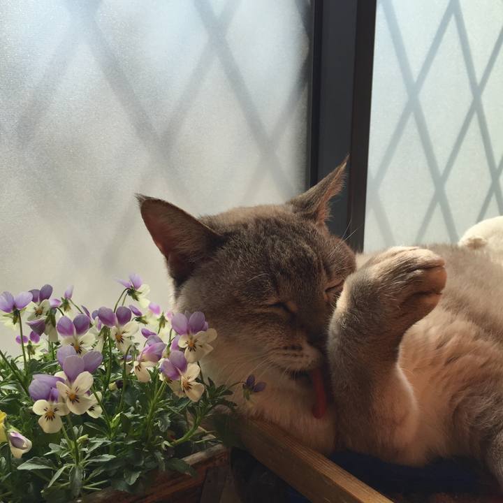 1438334f ca14 4a63 a730 8396732c8b9b 1552016270006