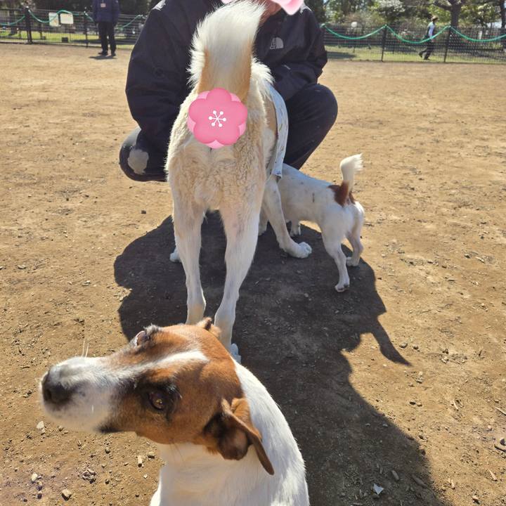 1438571a cddc 4a42 824c 981a25e95fd9 1772975593036