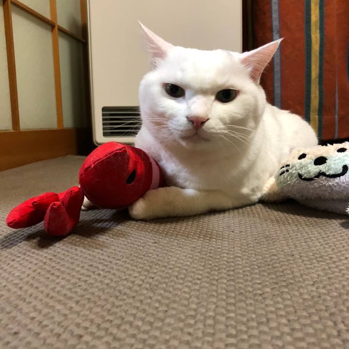 14385946 6f42 4be8 a6e4 56bbf33536a5 1637150927973