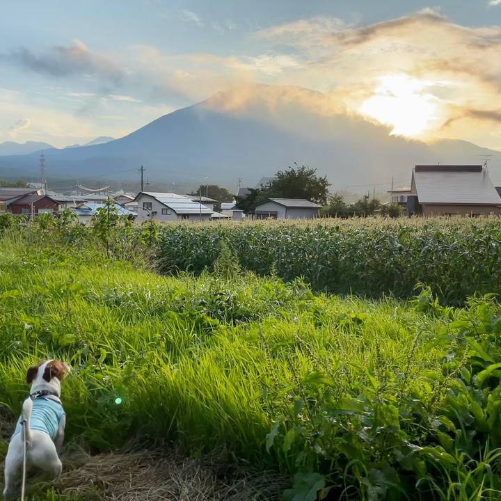 14389286 690c 472d 8d1d c9750c258333 1626606099654