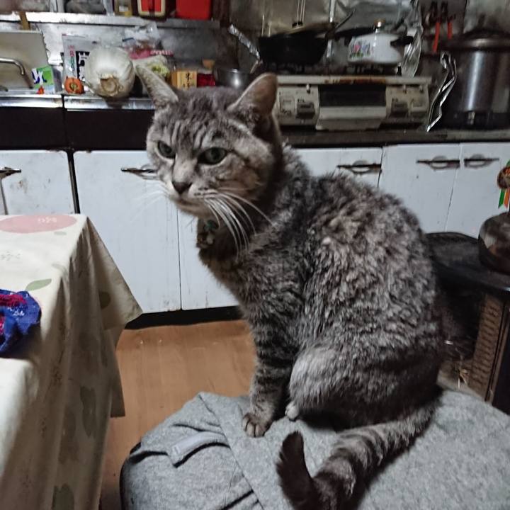 1438a436 65fc 41a2 9274 aa69f8892e89 1576007863152