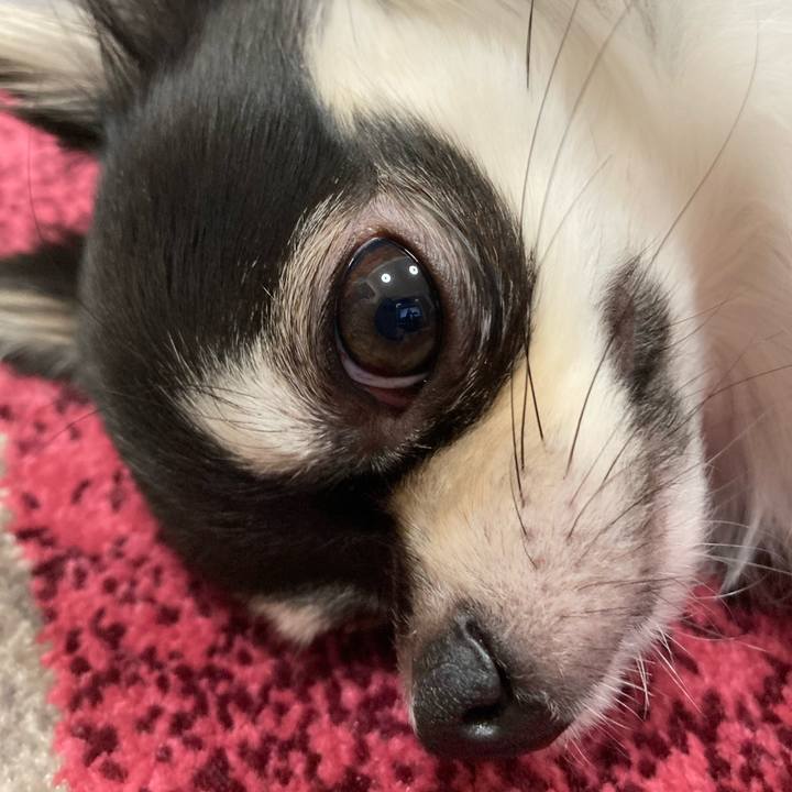 1438ae5b ec20 40ad b4c2 0662c95fef0e 1609078138992