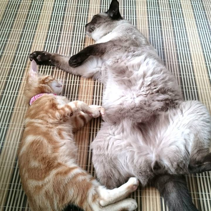 1438af6c 4342 4f13 9a95 7d320ebc3bfb 1528118045611