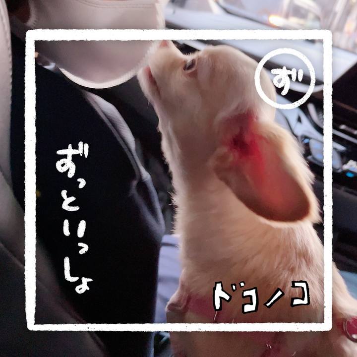 143906b8 b8dd 47ff b419 39451e4f38a9 1685931021428