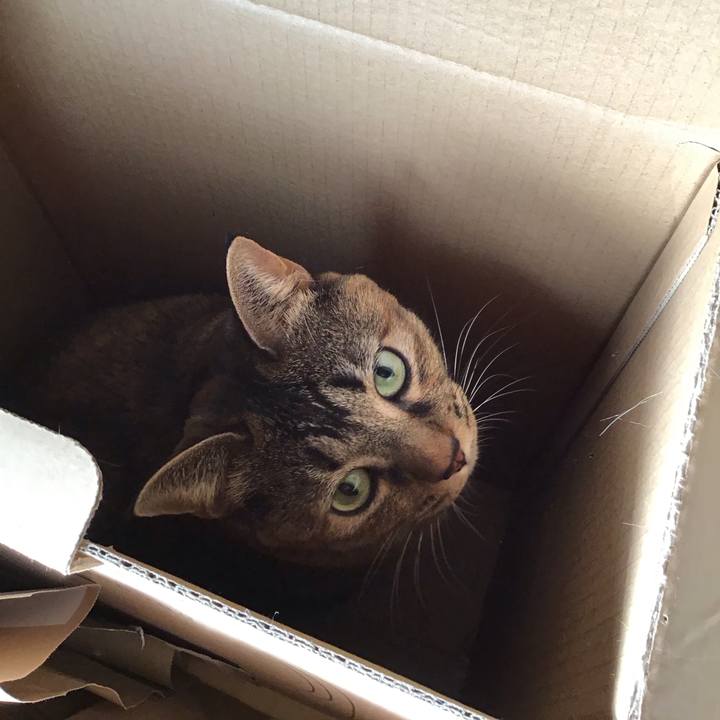 14391ea4 cf37 45d4 87ac e2f93a3be319 1702182369534