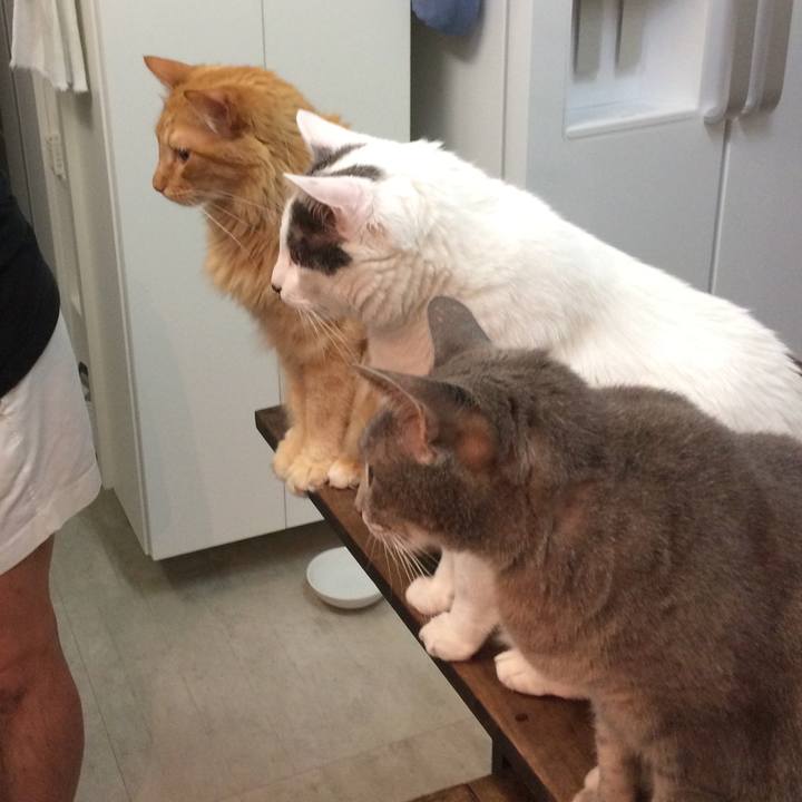 14391f97 a819 4a01 bdf1 ef021980277a 1516822000810