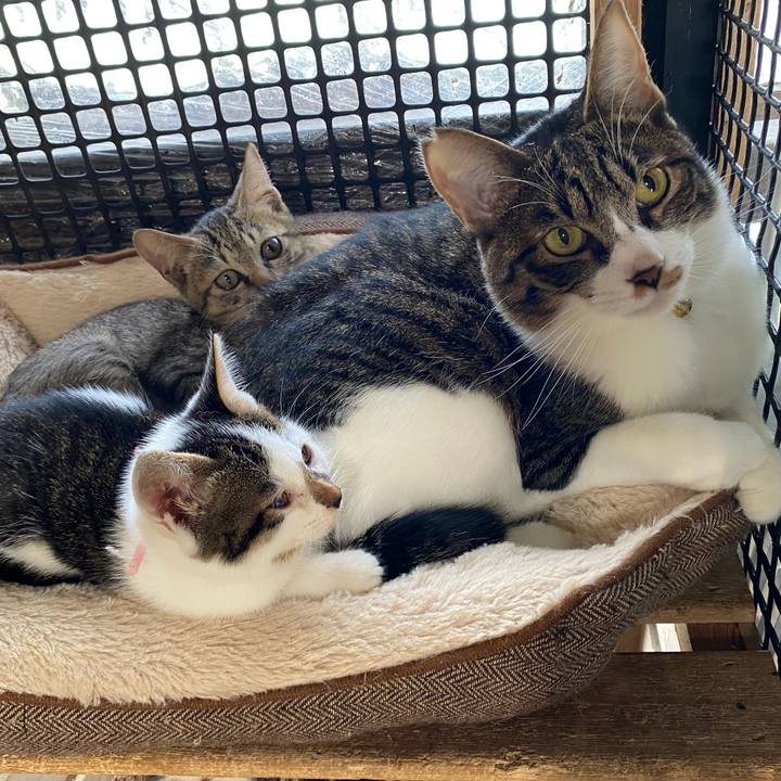 143927cd 5a6b 49ba 862d f37dd64c5bfc 1602380406907