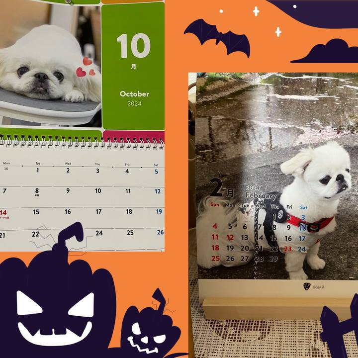 143932c9 7764 47af ad24 2455702b419b 1729376965588