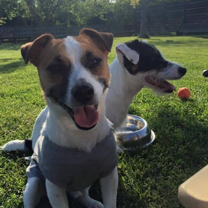 14395be3 5c2b 4d6a 9ffd c6a80fa68241 1682949352102