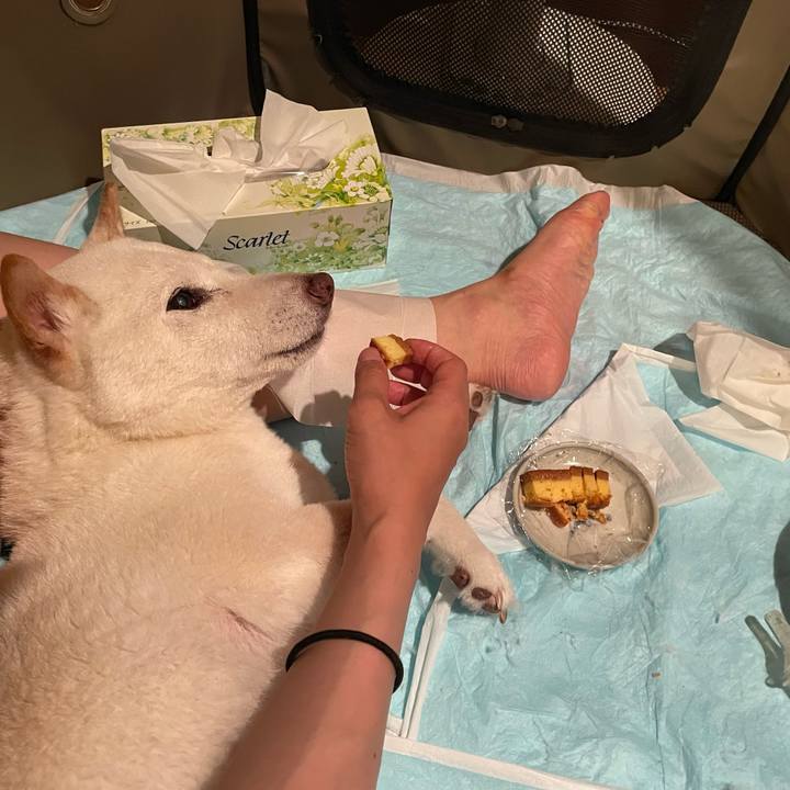 1439a066 4317 4767 a627 fafc4dbecd2c 1657293350382