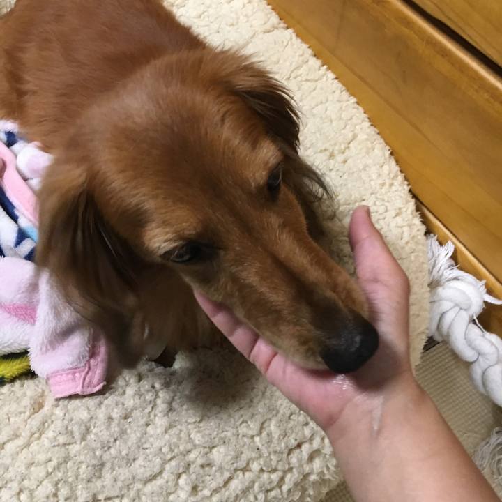 1439e181 db0b 4df4 b7f5 f11d0495b3bd 1557840900332