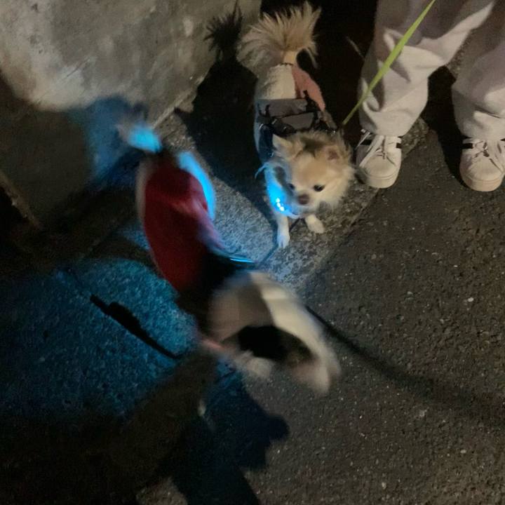 143a1777 cd77 408e 950c 0d2907e797ee 1733230780795