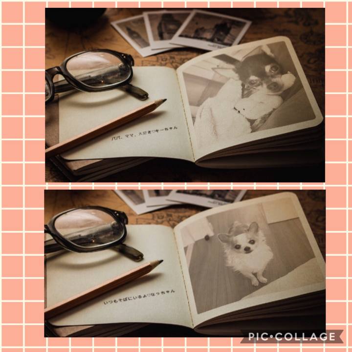 143a1a19 f1d8 479b 8357 7007bb047d84 1549588838001